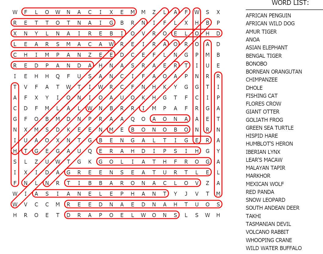 endangered-species-wordsearch-solved-paws-and-claws-society-inc