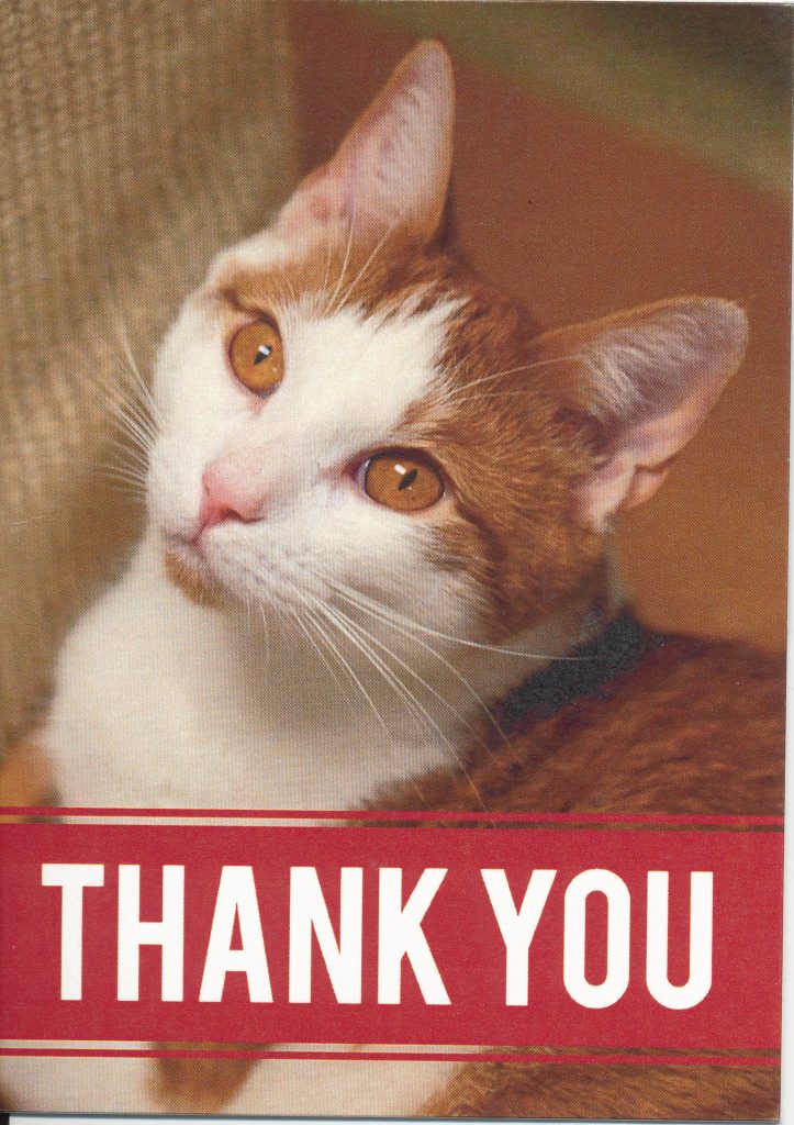 Tabby's Place and Carrot Say Thank You - Paws and Claws Society, Inc.