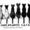 Cape Atlantic C.A.T.S. Says Thank You for Donation to Help With TNR
