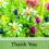 Thanks For Kindness