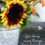 A Note of Gratitude